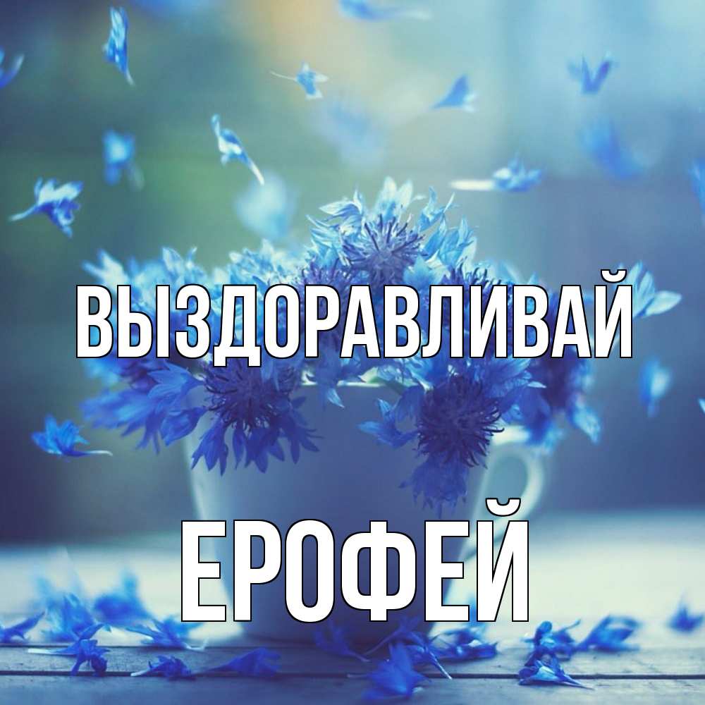 Открытка на каждый день с именем, Ерофей Выздоравливай кружка с зельем и цветами Прикольная открытка с пожеланием онлайн скачать бесплатно 