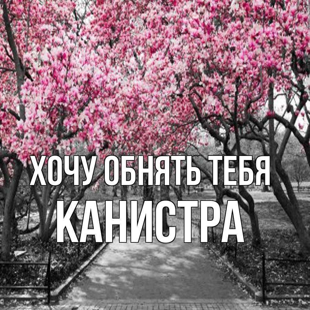 Открытка на каждый день с именем, Канистра Хочу обнять тебя обработанное фото Прикольная открытка с пожеланием онлайн скачать бесплатно 