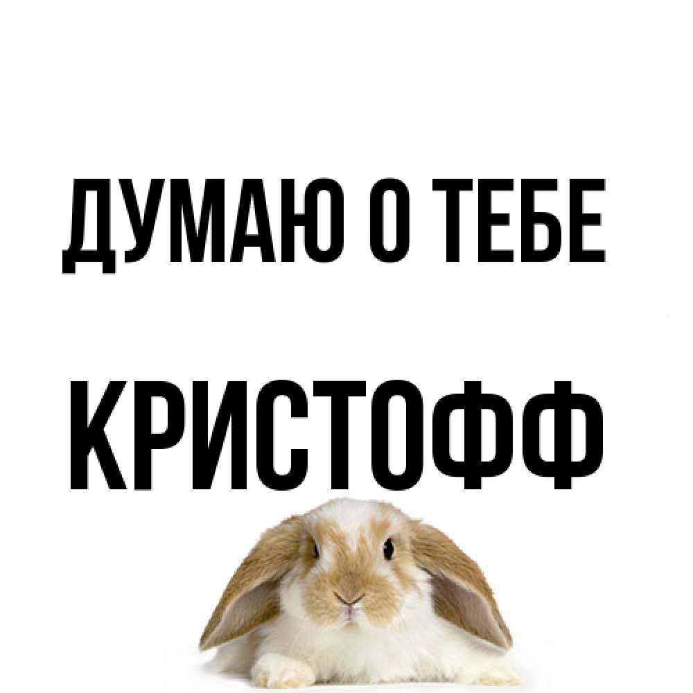 Открытка на каждый день с именем, Кристофф Думаю о тебе подписать своими руками онлайн Прикольная открытка с пожеланием онлайн скачать бесплатно 