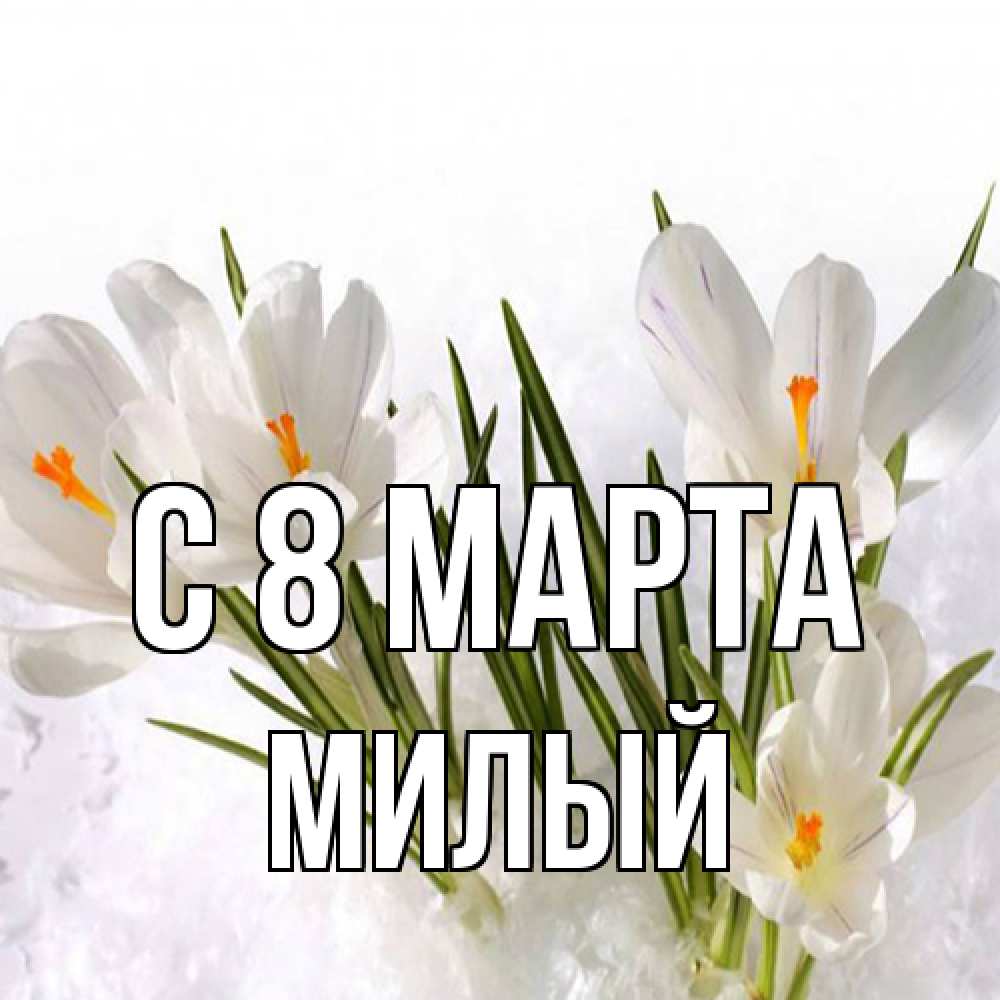 Открытка на каждый день с именем, Милый C 8 МАРТА под снегом Прикольная открытка с пожеланием онлайн скачать бесплатно 