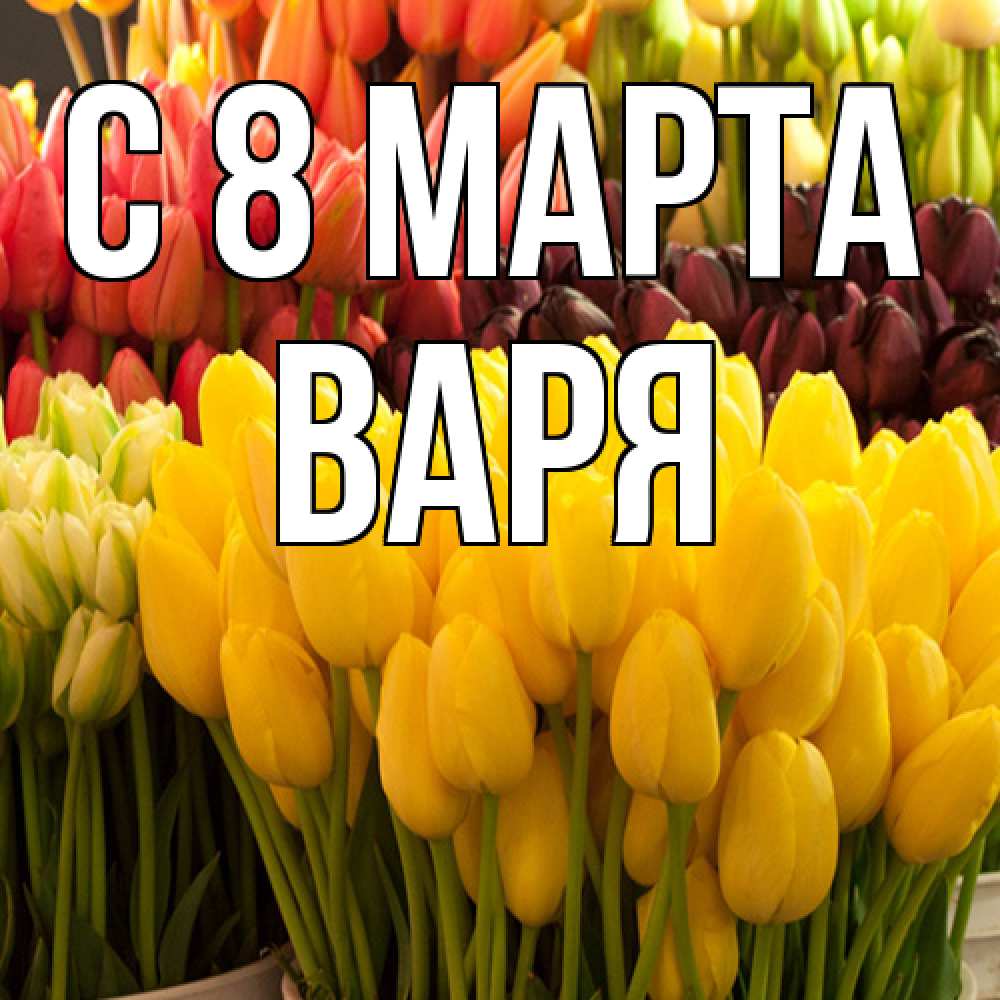 Открытка на каждый день с именем, Варя C 8 МАРТА цветы Прикольная открытка с пожеланием онлайн скачать бесплатно 