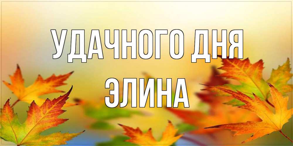 Открытка на каждый день с именем, Элина Удачного дня открытка с пожеланием хорошего осеннего дня Прикольная открытка с пожеланием онлайн скачать бесплатно 