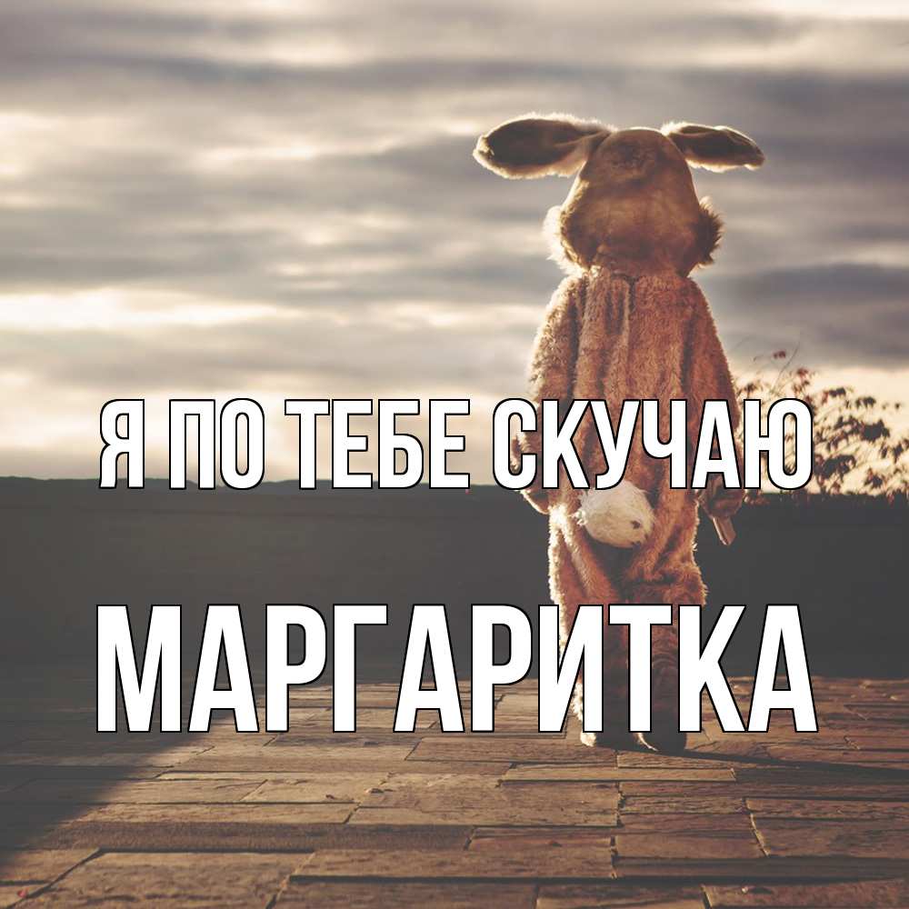 Открытка на каждый день с именем, Маргаритка Я по тебе скучаю даже в костюме зайца Прикольная открытка с пожеланием онлайн скачать бесплатно 