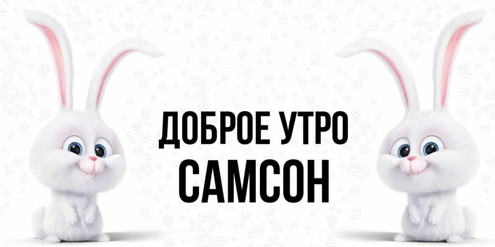 Открытка на каждый день с именем, Самсон Доброе утро кролики с длинными ушками Прикольная открытка с пожеланием онлайн скачать бесплатно 