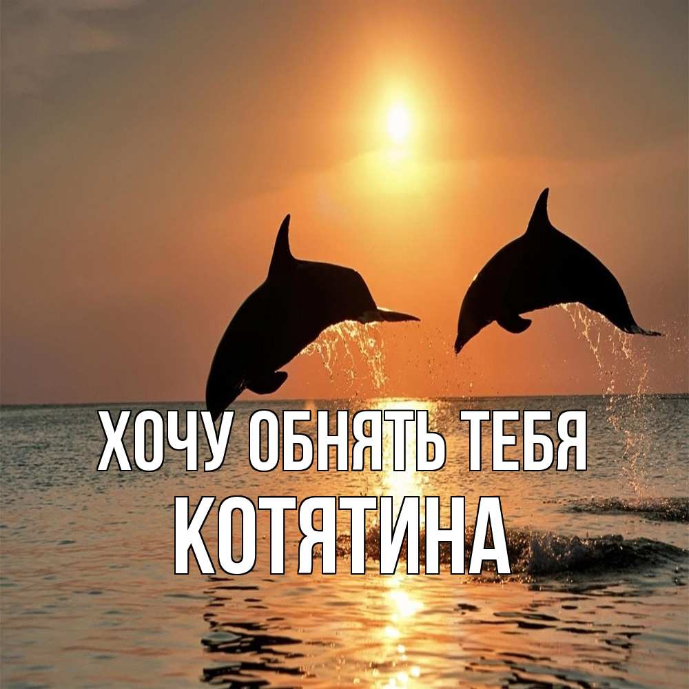 Открытка на каждый день с именем, Котятина Хочу обнять тебя рыбы на закате Прикольная открытка с пожеланием онлайн скачать бесплатно 