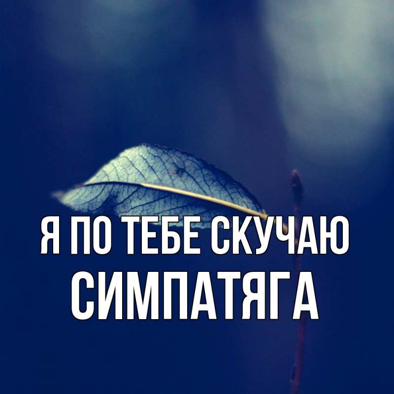 Картинка Я по тебе скучаю, Симпатяга