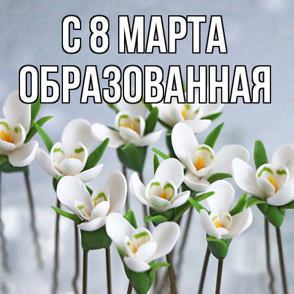 Открытка на каждый день с именем, Образованная C 8 МАРТА весенние цветы Прикольная открытка с пожеланием онлайн скачать бесплатно 