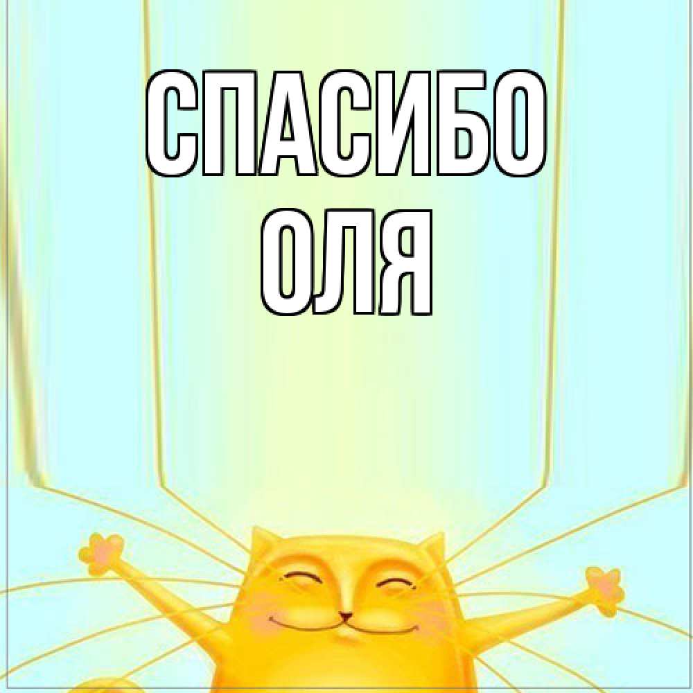 Открытка на каждый день с именем, Оля Спасибо кот с усами благодарит Прикольная открытка с пожеланием онлайн скачать бесплатно 