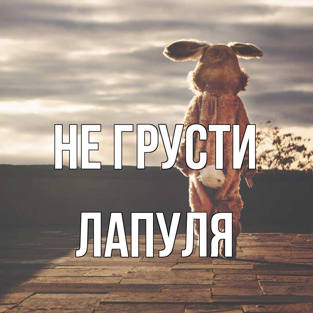 Открытка на каждый день с именем, Лапуля Не грусти со спины Прикольная открытка с пожеланием онлайн скачать бесплатно 