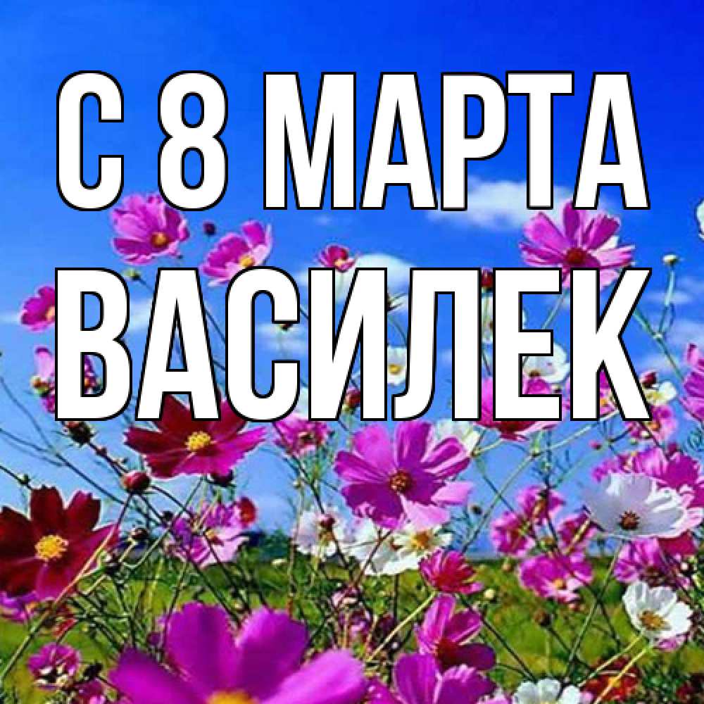 Открытка на каждый день с именем, василек C 8 МАРТА цветы Прикольная открытка с пожеланием онлайн скачать бесплатно 
