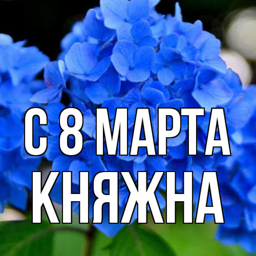 Открытка на каждый день с именем, Княжна C 8 МАРТА синие цветы Прикольная открытка с пожеланием онлайн скачать бесплатно 