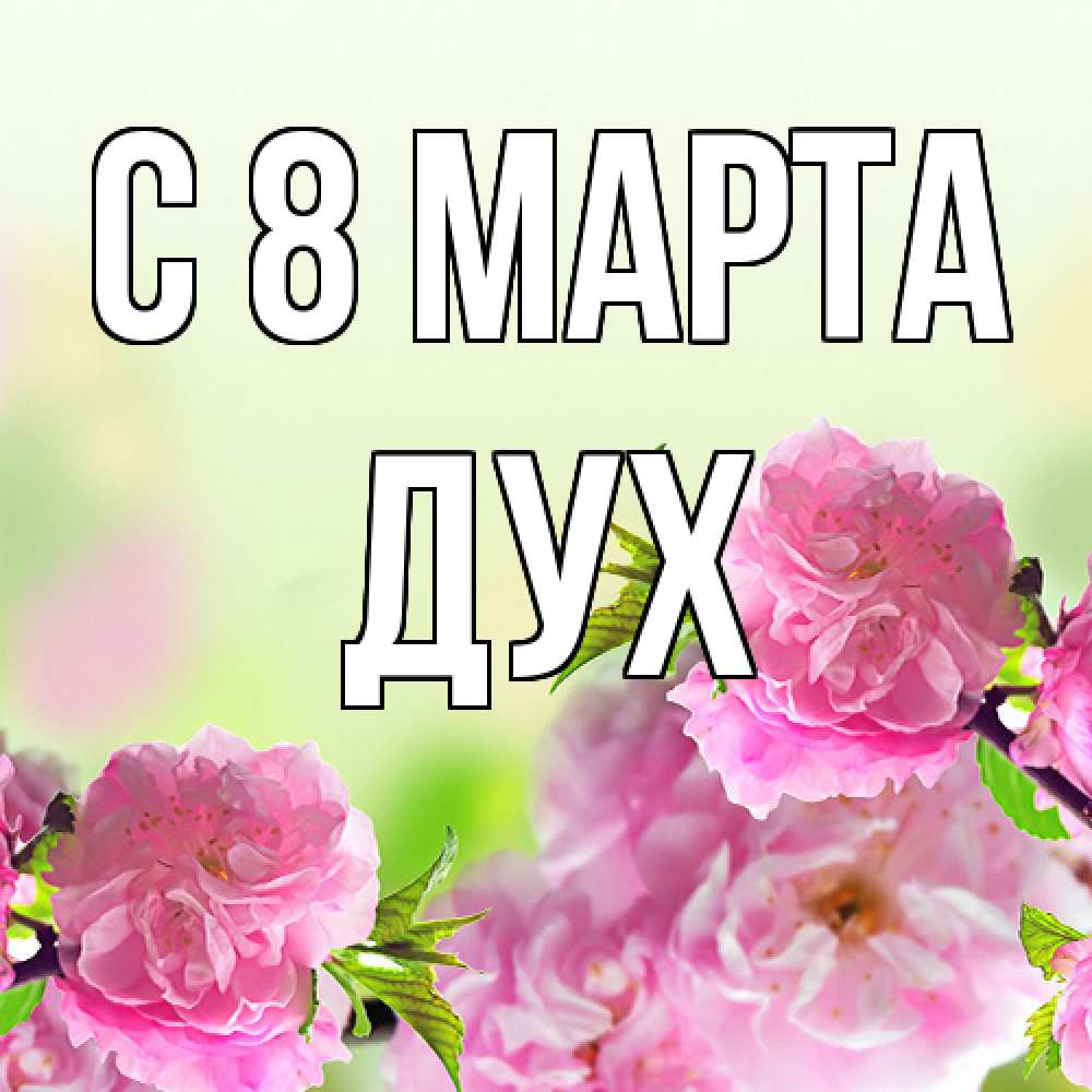 Открытка на каждый день с именем, Дух C 8 МАРТА цветы Прикольная открытка с пожеланием онлайн скачать бесплатно 