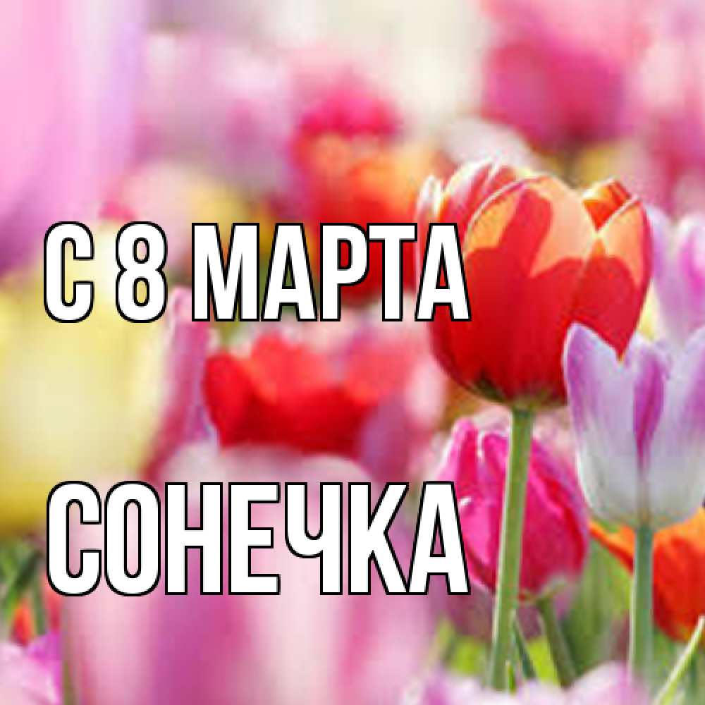Открытка на каждый день с именем, Сонечка C 8 МАРТА на международный женский день 2 Прикольная открытка с пожеланием онлайн скачать бесплатно 