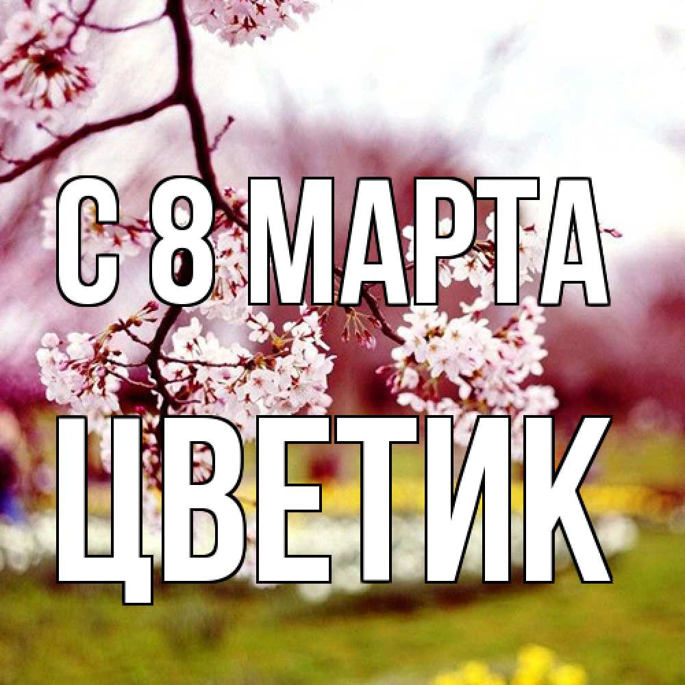 Открытка на каждый день с именем, цветик C 8 МАРТА яблоня Прикольная открытка с пожеланием онлайн скачать бесплатно 