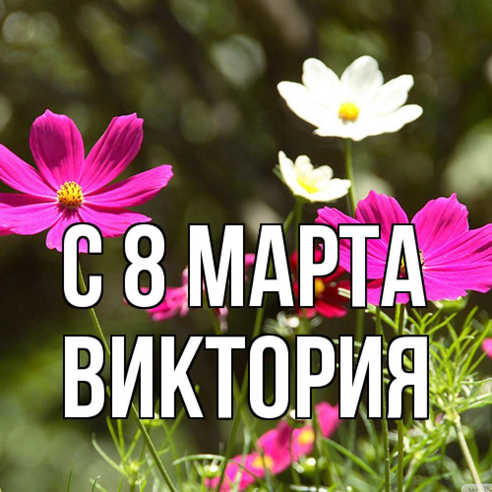 Открытка на каждый день с именем, Виктория C 8 МАРТА цветы Прикольная открытка с пожеланием онлайн скачать бесплатно 
