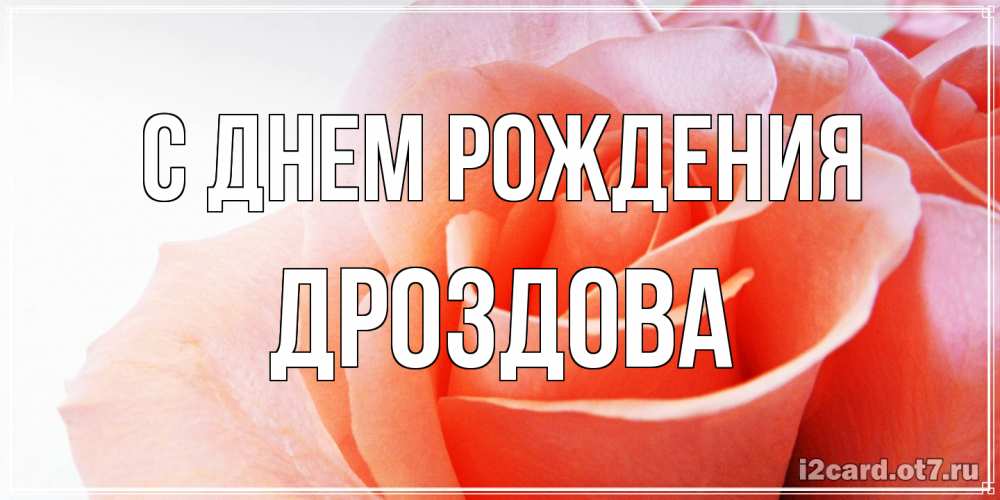Открытка на каждый день с именем, Дроздова С днем рождения розы для поздравления с днем рождения Прикольная открытка с пожеланием онлайн скачать бесплатно 