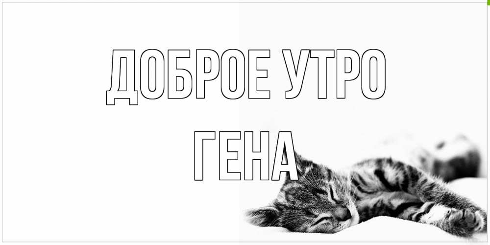 Открытка на каждый день с именем, Гена Доброе утро котуся Прикольная открытка с пожеланием онлайн скачать бесплатно 