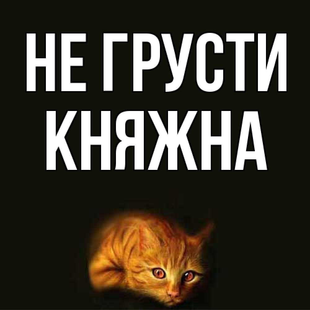 Открытка на каждый день с именем, Княжна Не грусти лежащий кот в темноте Прикольная открытка с пожеланием онлайн скачать бесплатно 