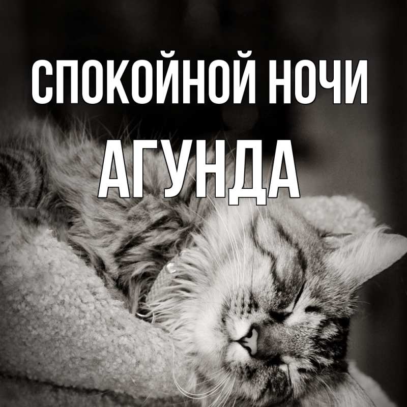 Картинка Спокойной ночи, Агунда