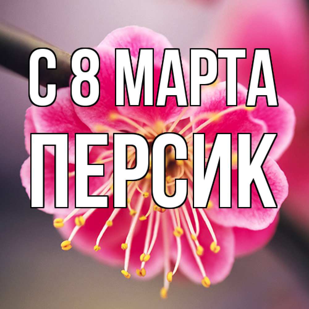 Открытка на каждый день с именем, Персик C 8 МАРТА цветы Прикольная открытка с пожеланием онлайн скачать бесплатно 