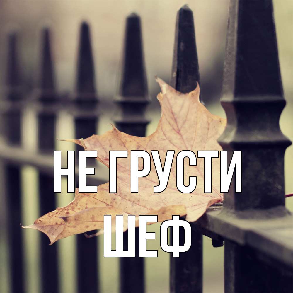 Открытка на каждый день с именем, Шеф Не грусти лист клена Прикольная открытка с пожеланием онлайн скачать бесплатно 