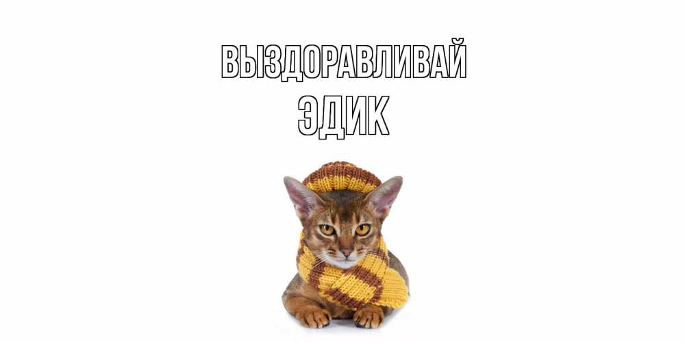 Открытка на каждый день с именем, Эдик Выздоравливай родные не болейте Прикольная открытка с пожеланием онлайн скачать бесплатно 