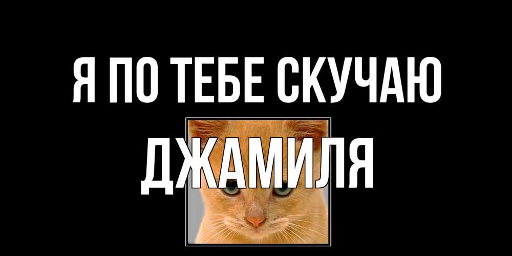 Открытка на каждый день с именем, Джамиля Я по тебе скучаю открытки рыжий котенок скучает по тебе Прикольная открытка с пожеланием онлайн скачать бесплатно 