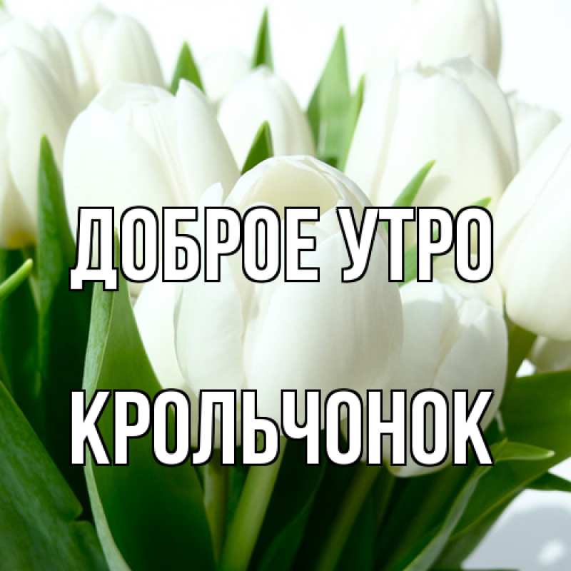 Картинка Доброе утро, Крольчонок