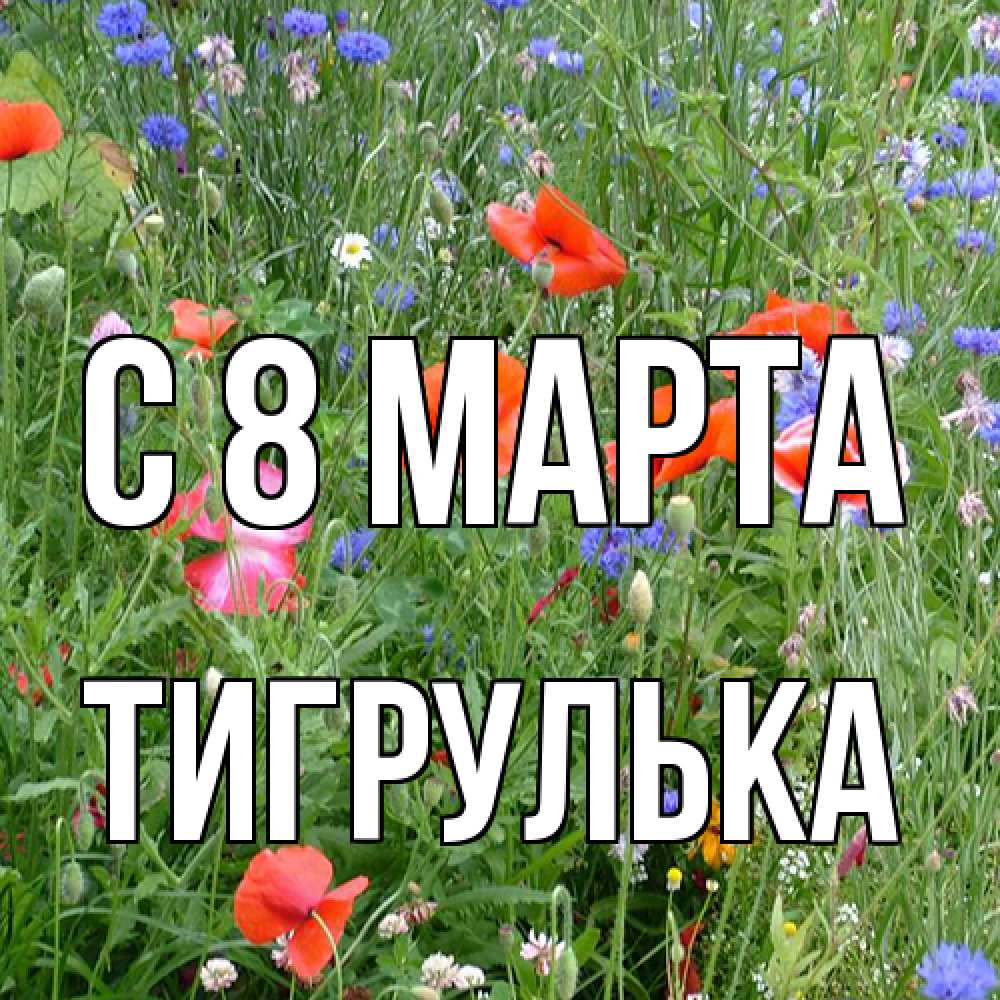 Открытка на каждый день с именем, тигрулька C 8 МАРТА международный женский день 4 Прикольная открытка с пожеланием онлайн скачать бесплатно 