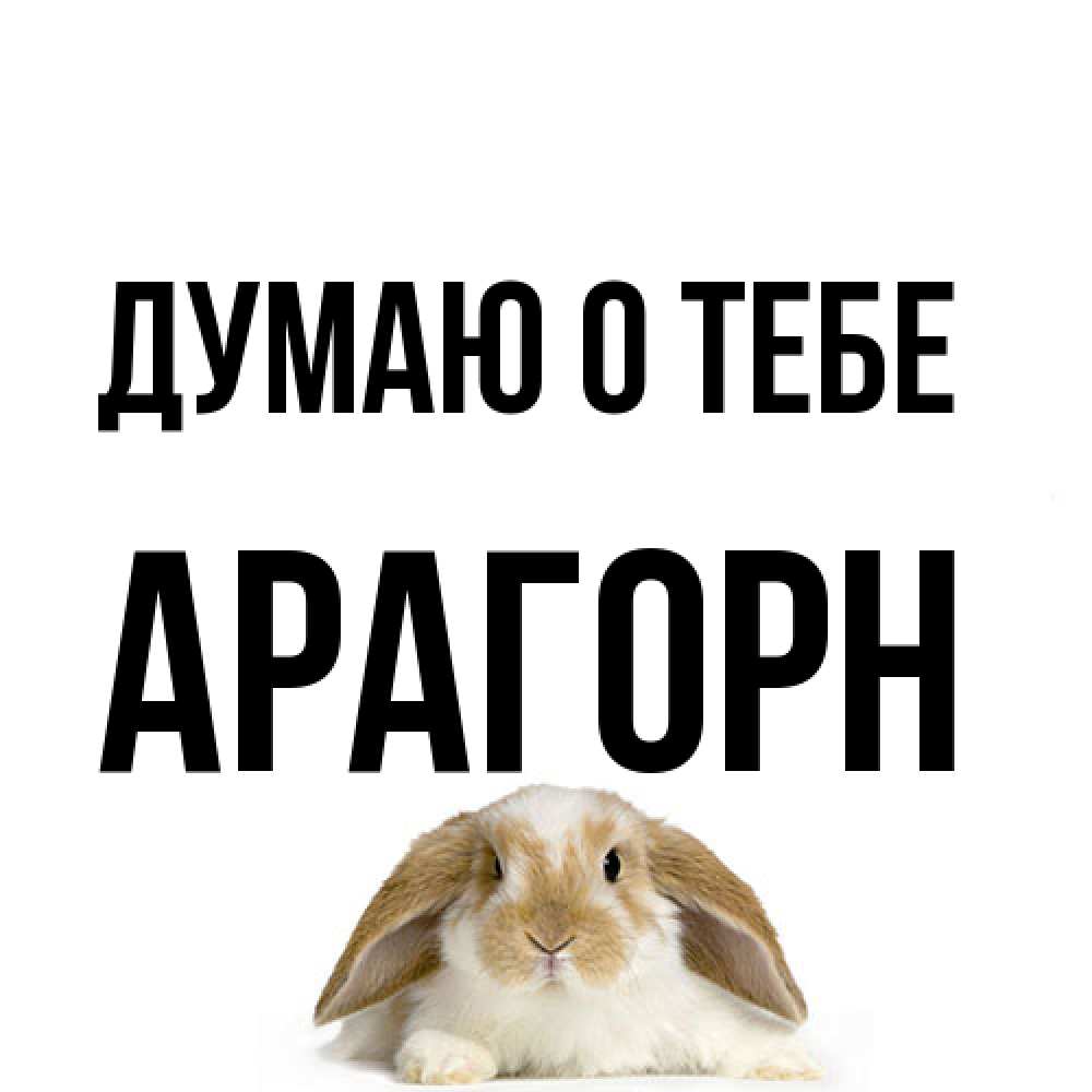 Открытка на каждый день с именем, Арагорн Думаю о тебе подписать своими руками онлайн Прикольная открытка с пожеланием онлайн скачать бесплатно 