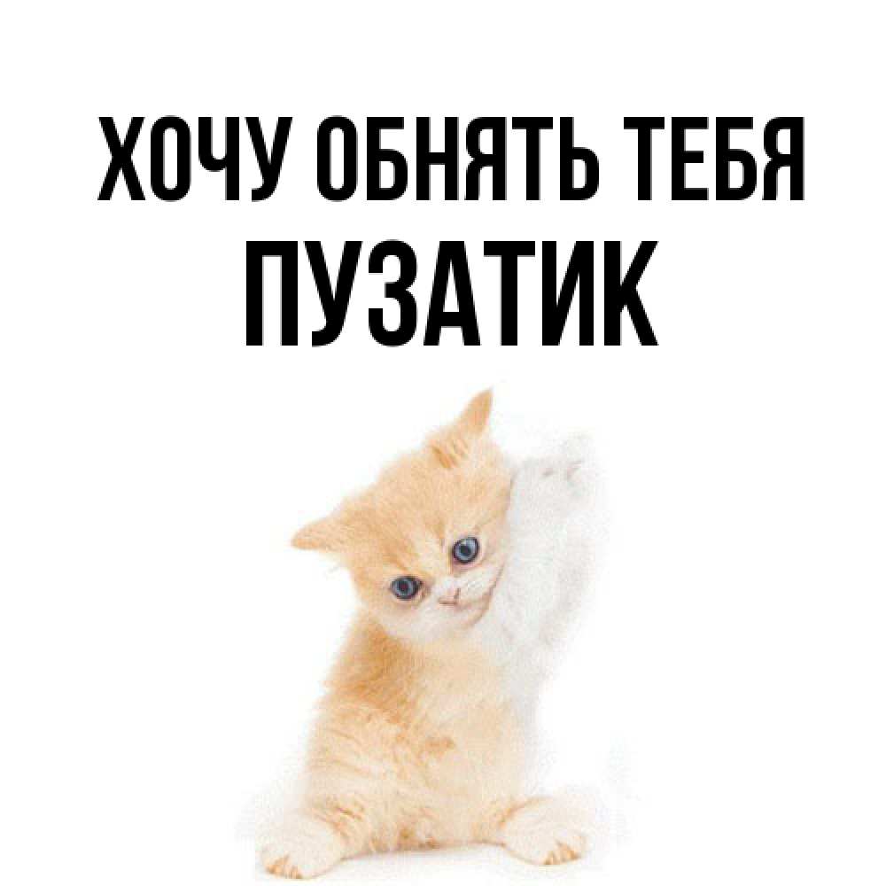 Открытка на каждый день с именем, Пузатик Хочу обнять тебя я хочу очень скорее обнимаешек Прикольная открытка с пожеланием онлайн скачать бесплатно 