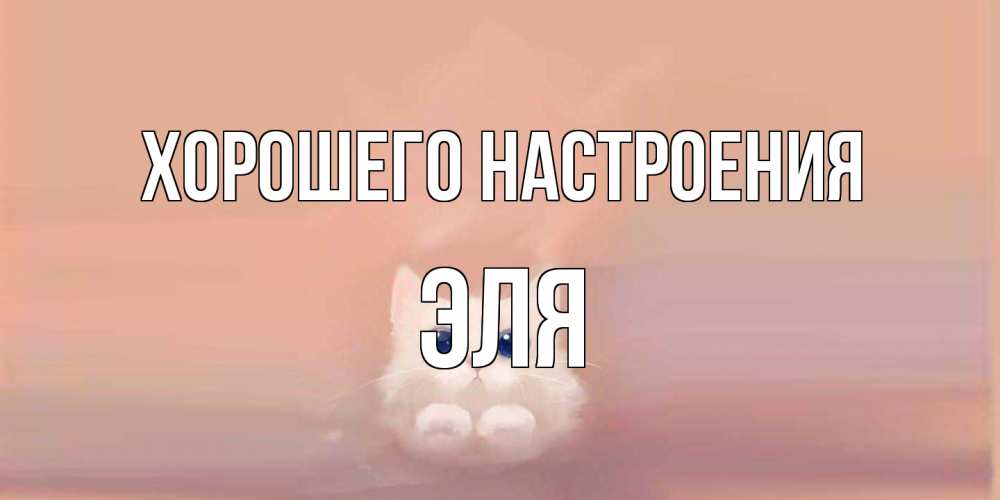 Открытка на каждый день с именем, Эля Хорошего настроения кошка Прикольная открытка с пожеланием онлайн скачать бесплатно 