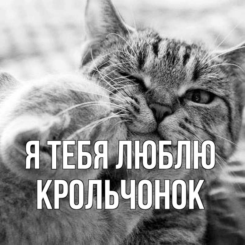 Картинка Я тебя люблю, Крольчонок