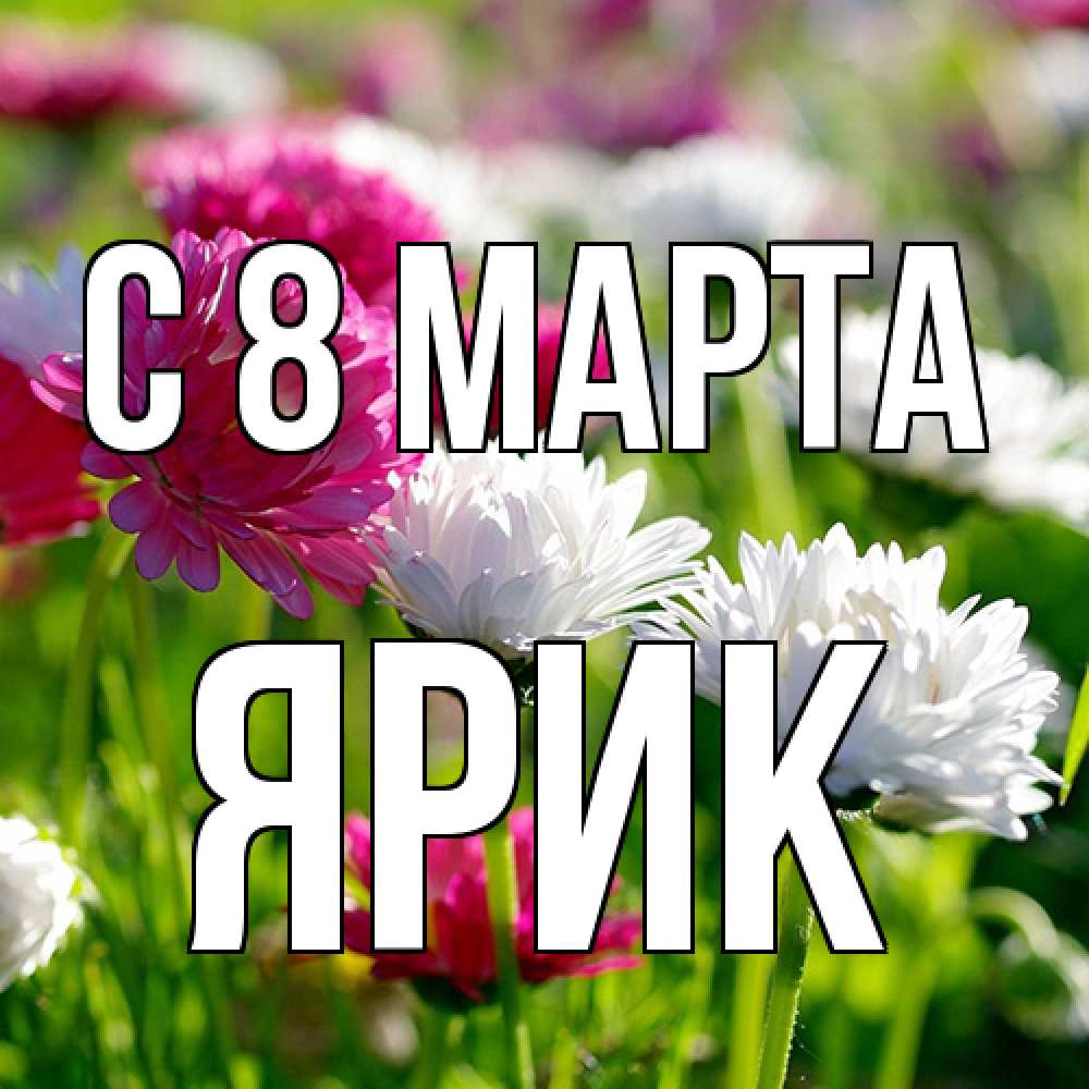 Открытка на каждый день с именем, Ярик C 8 МАРТА международный женский день 1 Прикольная открытка с пожеланием онлайн скачать бесплатно 