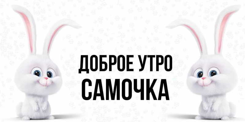 Картинка Доброе утро, Самочка