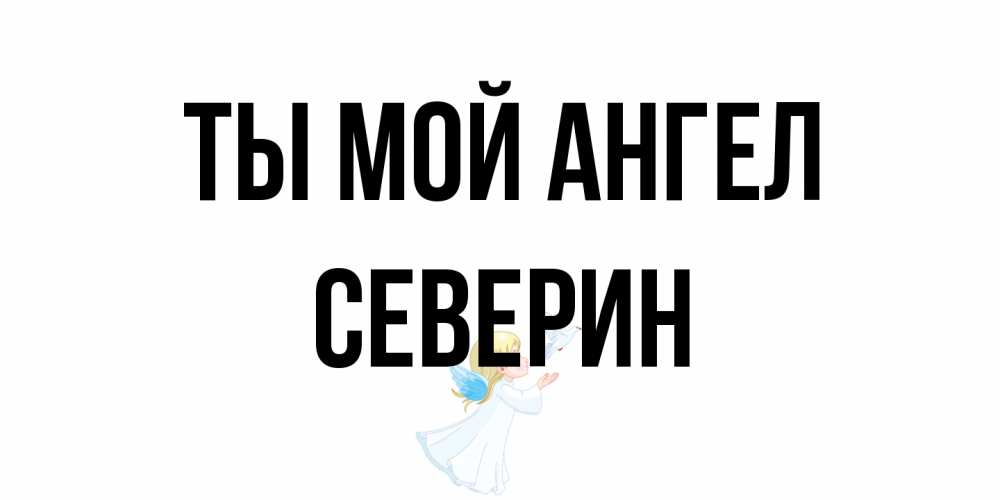 Открытка на каждый день с именем, Северин Ты мой ангел ангел, голубь Прикольная открытка с пожеланием онлайн скачать бесплатно 
