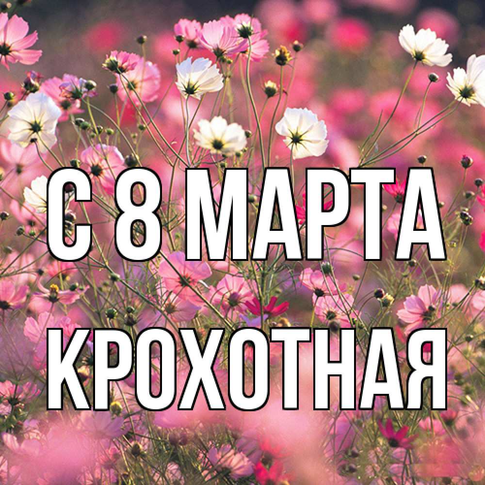 Открытка на каждый день с именем, Крохотная C 8 МАРТА красиво 1 Прикольная открытка с пожеланием онлайн скачать бесплатно 