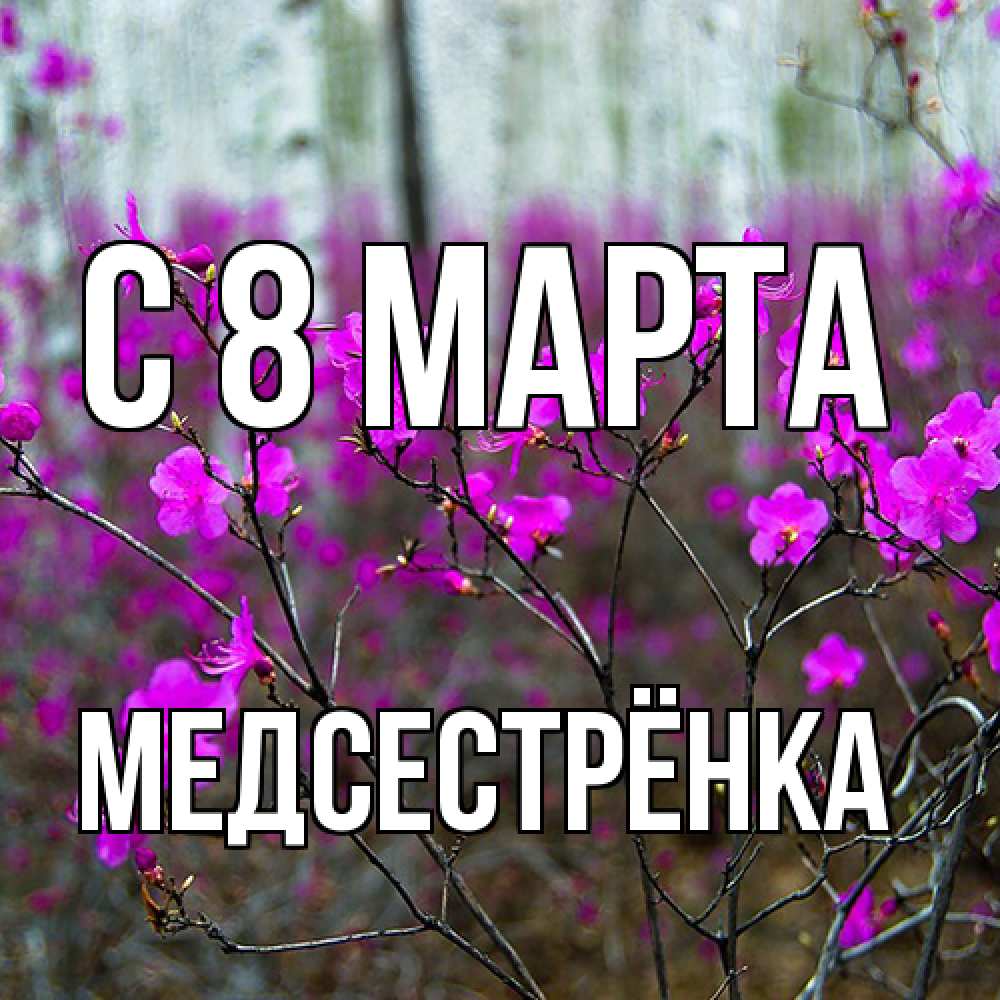 Открытка на каждый день с именем, Медсестрёнка C 8 МАРТА дикие цветы Прикольная открытка с пожеланием онлайн скачать бесплатно 