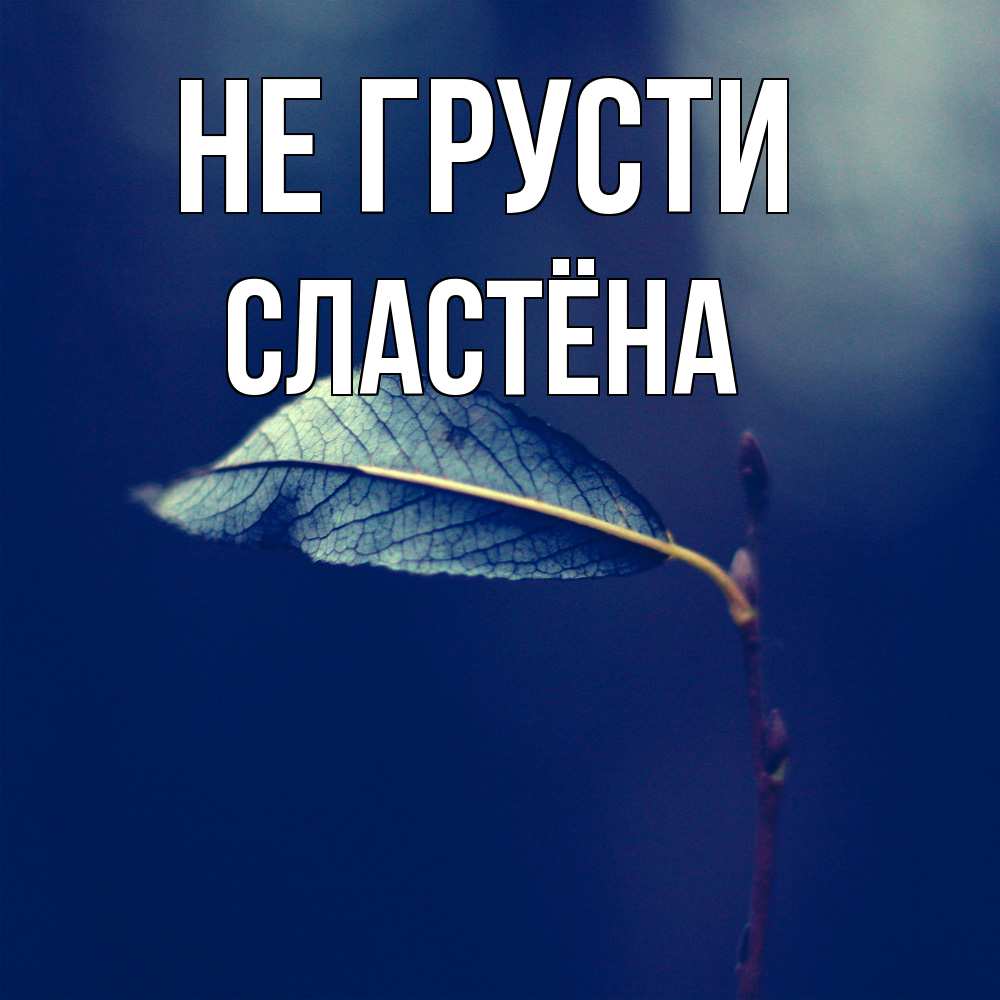 Открытка на каждый день с именем, сластёна Не грусти растение Прикольная открытка с пожеланием онлайн скачать бесплатно 