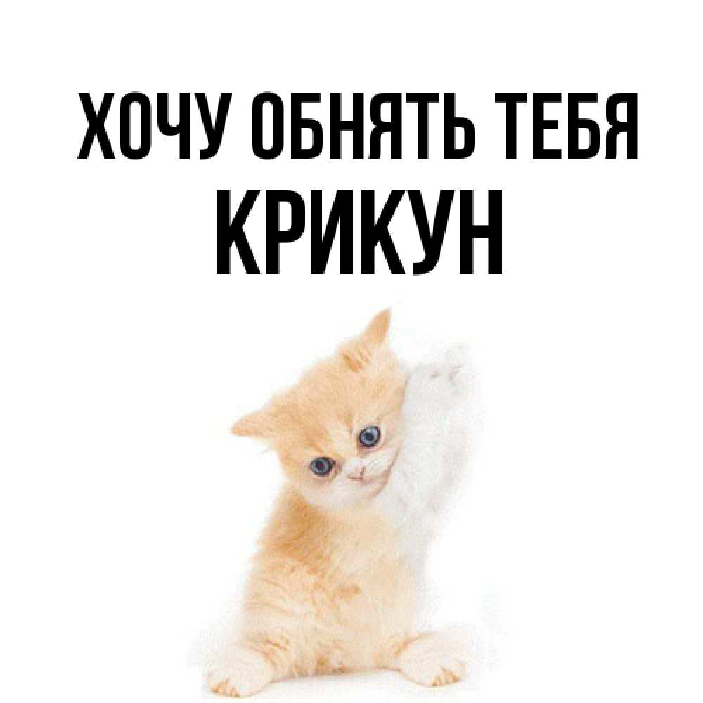 Открытка на каждый день с именем, Крикун Хочу обнять тебя я хочу очень скорее обнимаешек Прикольная открытка с пожеланием онлайн скачать бесплатно 
