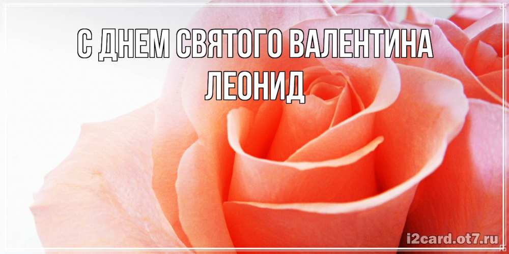 Открытка на каждый день с именем, Леонид С днем Святого Валентина открытка на день Святого Валентина с розовой розой Прикольная открытка с пожеланием онлайн скачать бесплатно 