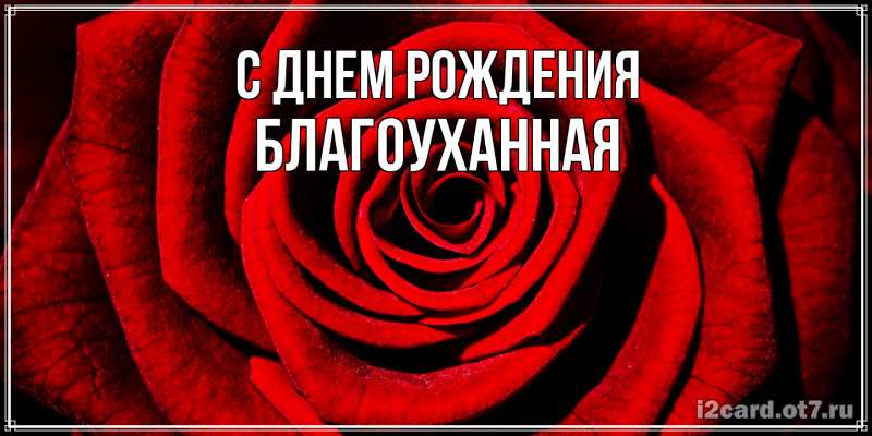 Картинка С днем рождения, благоуханная