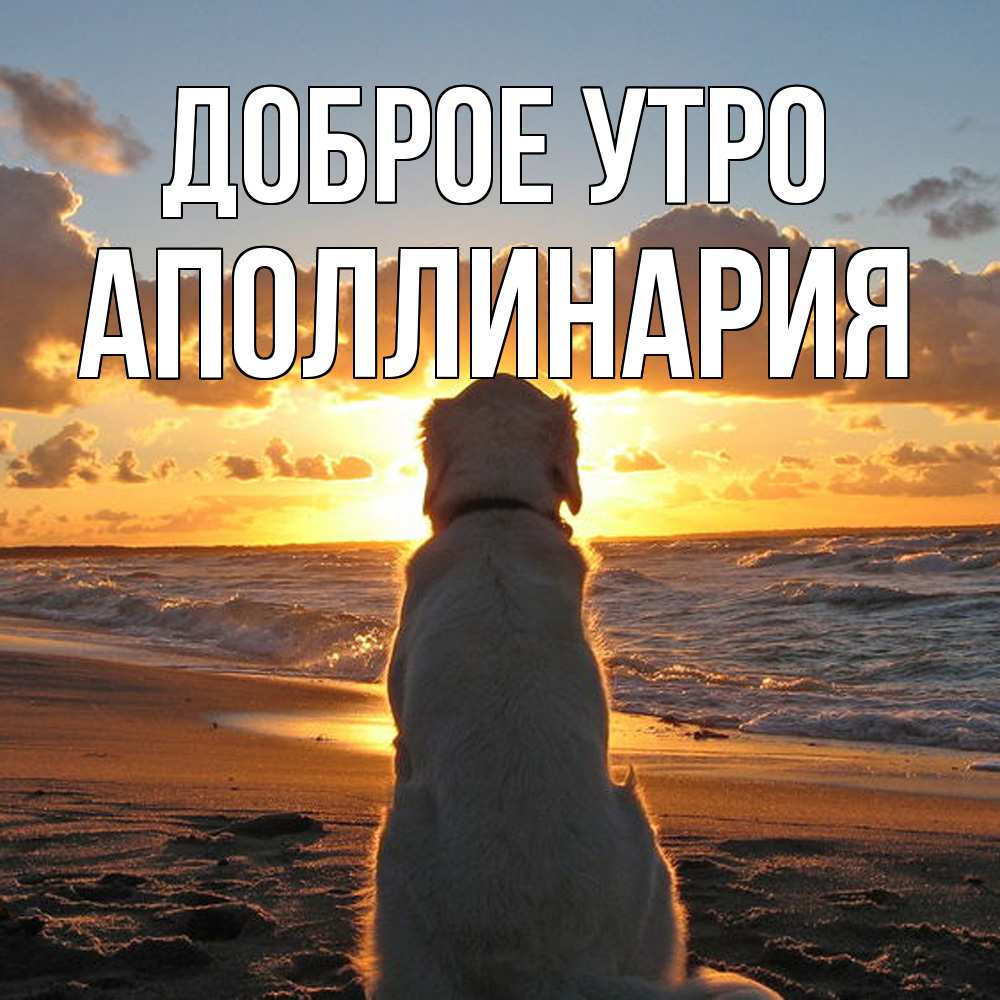 Открытка на каждый день с именем, Аполлинария Доброе утро восход солнца Прикольная открытка с пожеланием онлайн скачать бесплатно 