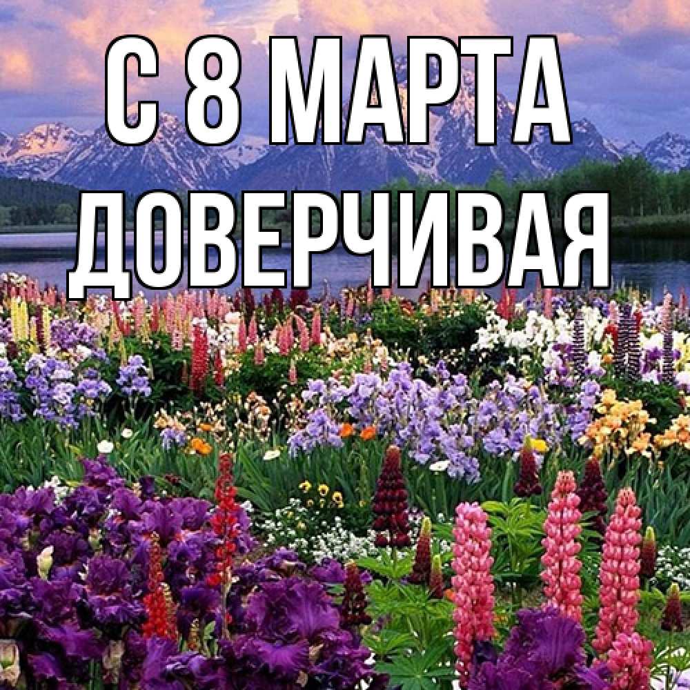 Открытка на каждый день с именем, Доверчивая C 8 МАРТА международный женский день Прикольная открытка с пожеланием онлайн скачать бесплатно 