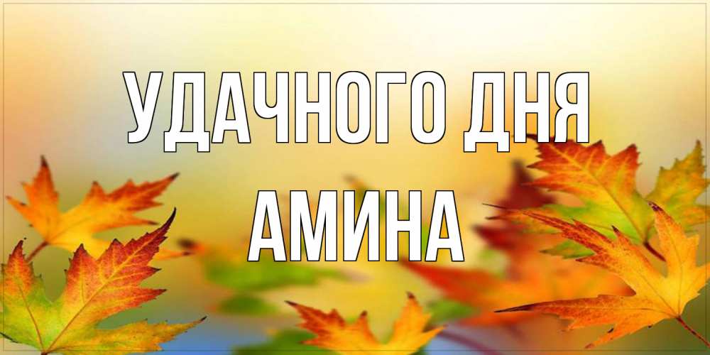 Открытка на каждый день с именем, Амина Удачного дня открытка с пожеланием хорошего осеннего дня Прикольная открытка с пожеланием онлайн скачать бесплатно 