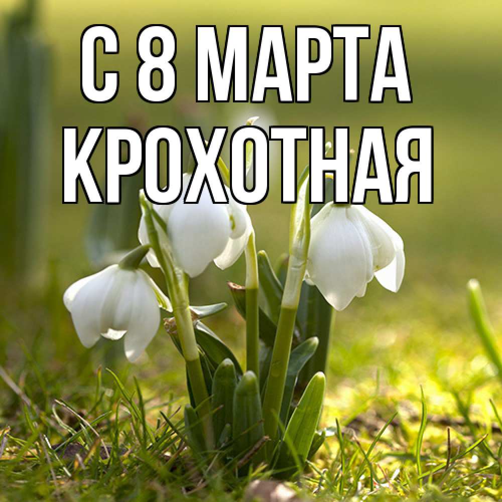 Открытка на каждый день с именем, Крохотная C 8 МАРТА ранние цветы 2 Прикольная открытка с пожеланием онлайн скачать бесплатно 