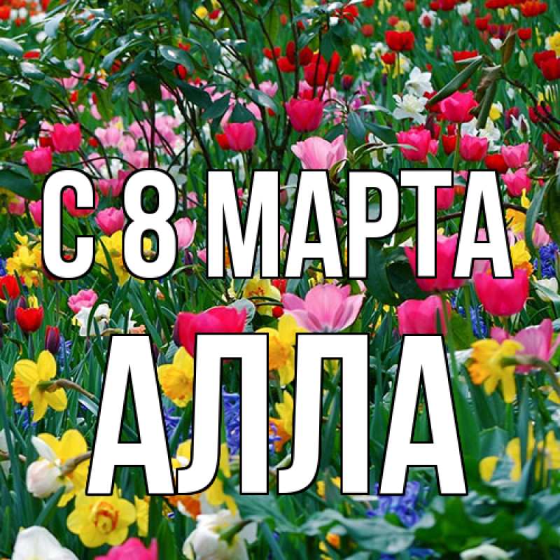 Картинка C 8 МАРТА, Алла