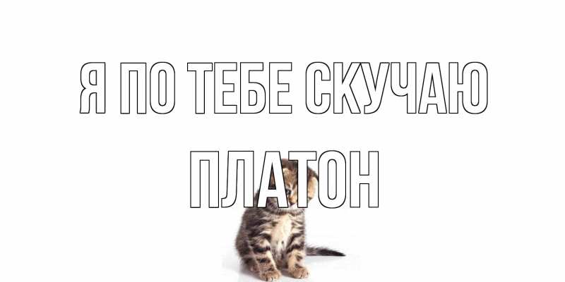 Картинка Я по тебе скучаю, Платон