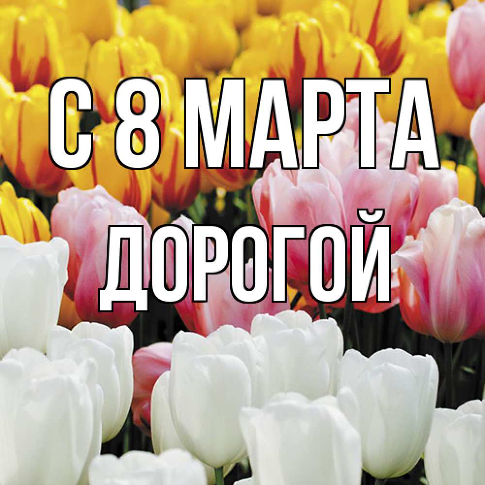 Открытка на каждый день с именем, Дорогой C 8 МАРТА разноцветные цветы Прикольная открытка с пожеланием онлайн скачать бесплатно 