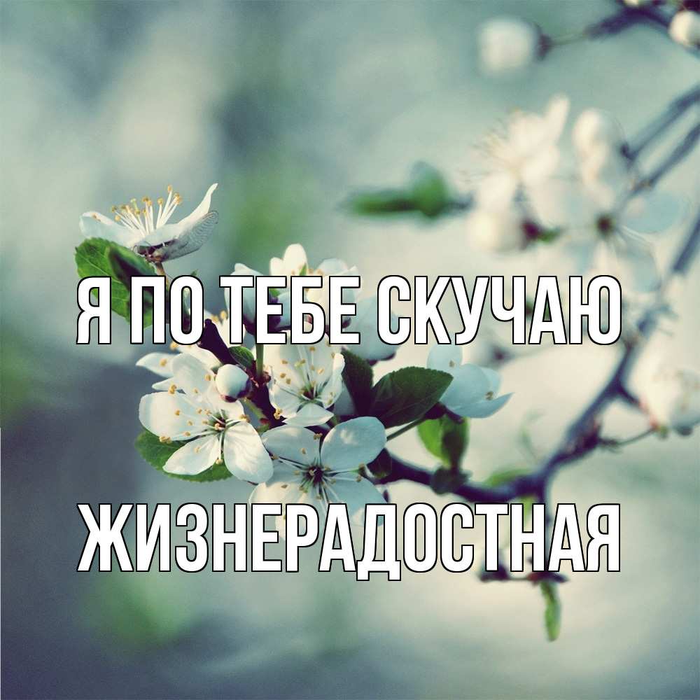 Открытка на каждый день с именем, Жизнерадостная Я по тебе скучаю весна Прикольная открытка с пожеланием онлайн скачать бесплатно 